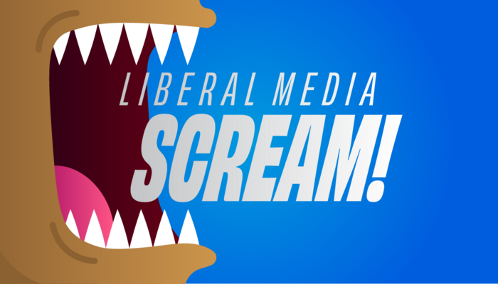 LiberalMediaScream-Feb2023